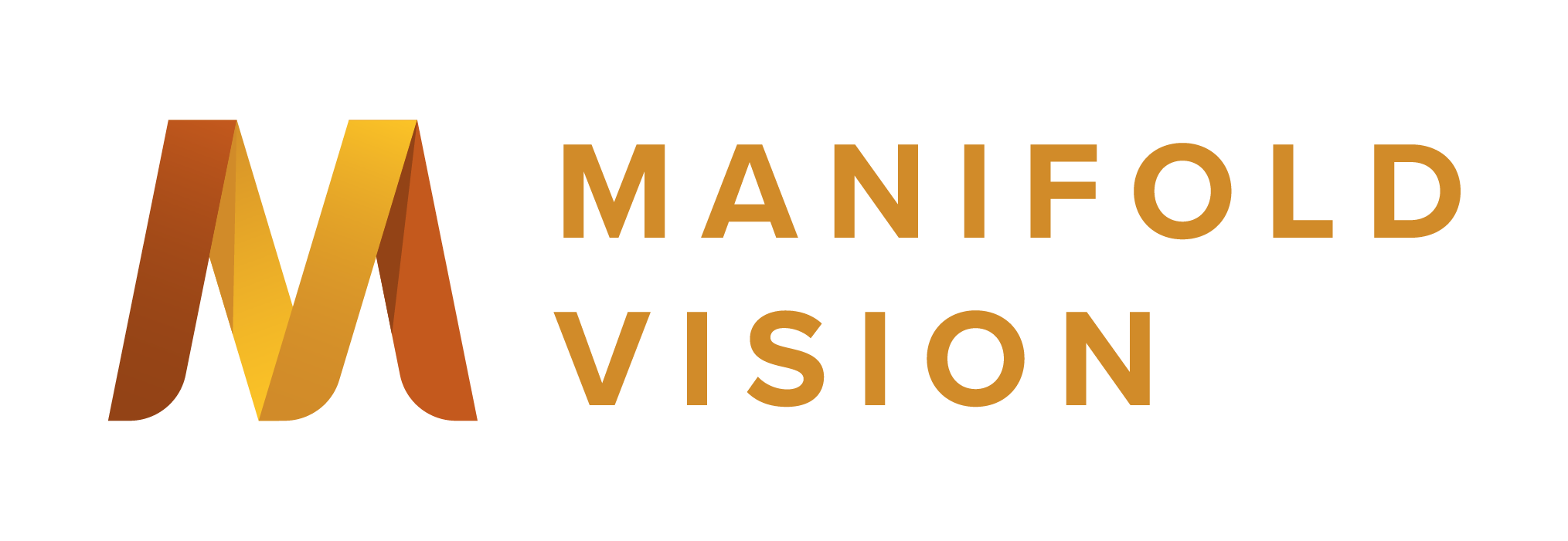 Manifold Vision